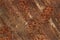 Rusted sheet of metal texture background