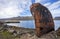 Rusted shipwreck