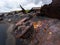 Rusted shipwwreck in New Zealand