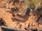 Rusted vehicle scrap in the red desert sand