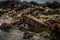 rusted and weathered anchor from long-lost shipwreck being dragged up from the depths