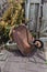 Rusted wheelbarrow in a garden