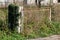 Rusted white metal front yard entrance doors mounted on dilapidated cracked concrete wall surrounded with uncut grass and crawler