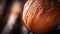 Rustic Abstraction Vibrant Macro Shot Of A Coconut In Sunlight