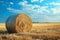 Rustic allure Hay bale in a field beneath the clear sky