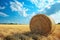 Rustic allure Hay bale in a field beneath the clear sky