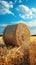 Rustic allure Hay bale in a field beneath the clear sky