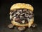 Rustic american mushroom cheese hamburger