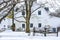 Rustic, Antique Farm Plow, White Quilt Barn