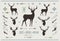 Rustic Antlers. Set silhouettes of rustic antler designs