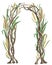 Rustic arch with tree branches and cereals. Barley, wheat, rye, rice and oat. Vintage floral design.