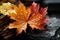 Rustic autumn charm with colorful leaves