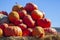 A rustic autumn still life with pumpkins , large different pumpkins, Different varieties of pumpkins, a wooden cart with pumpkins