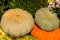 Rustic background three pumpkins green orange autumn texture