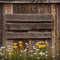 Rustic Barn Wood With Wildflowers