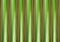 Rustic base wood background light green beige strips background eco flora base vertical panels