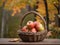 A rustic basket filled with freshly picked apples