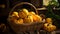 Rustic basket holds butternut squash