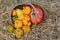 Rustic basket of small warted gourds with a turban gourd