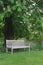 Rustic bench under a blooming chestnut tree