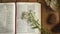 Rustic Bible on a Wooden Background with Flowers