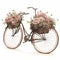 A Rustic Bike Ride in a Floral Wonderland
