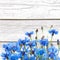 Rustic Border of Blue Cornflower on wood white background