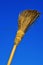 Rustic broom