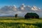 Rustic building, part of the historic Morman Row homestead in Antelope Flats, in Grand Teton National Park Wyoming, at sunrise