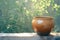 Rustic ceramic pot showcased in a close view amidst trees