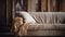 Rustic Charm: Close-up Of Satin Couch With Natural Grain And Vintage Appeal