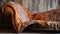 Rustic Charm: Close-up Of Vintage Lycra Chaise Lounge