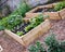 Rustic Country Vegetable & Flower Garden with Raised Beds.