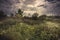 Rustic countryside scenery summer meadow with flowers and dramatic moody sky