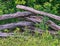 Rustic crossed wood fence forest background