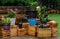 A rustic deck flower garden in Missouri.