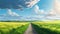 Rustic dirt scenic road with green grass and skyline