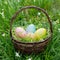 Rustic Easter basket nestled in a bed of green grass and dainty blossoms