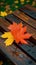 Rustic elegance captured as a maple leaf graces a wooden bench