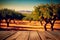 Rustic empty wooden table and blurred orange trees for product and merchandise display. Generative Ai image illustration