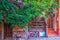 Rustic facade surrounded by plants