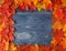 Rustic Fall Decoration Display of Maple Leaves Frame