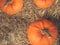 Rustic Fall Pumpkins and Hay Background From Directly Above