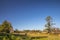 A rustic farm house on a farm in the rural south hay bales blue sky