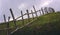 Rustic fence across a meadow