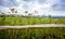 Rustic fence enclosing meadow