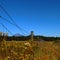 Rustic fence field pasture forest mountain sky