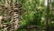 Rustic fence of interwoven twigs