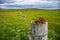 Rustic fence post in the machair field on Isle of North Uist, Outer Hebrides, Scotland