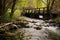 a rustic fishing bridge crossing a slow-moving stream